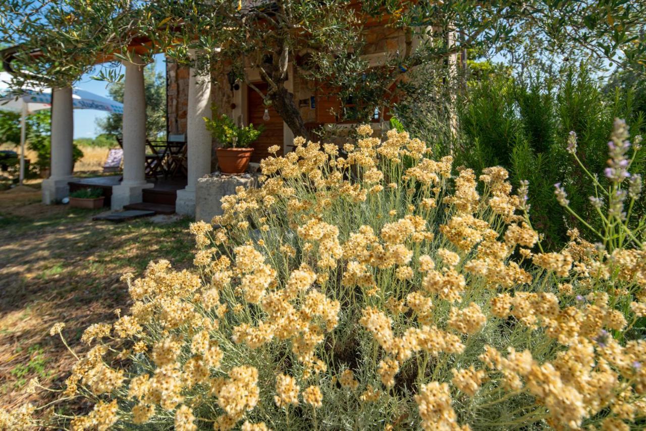 Villa Flaveico Pašman Esterno foto
