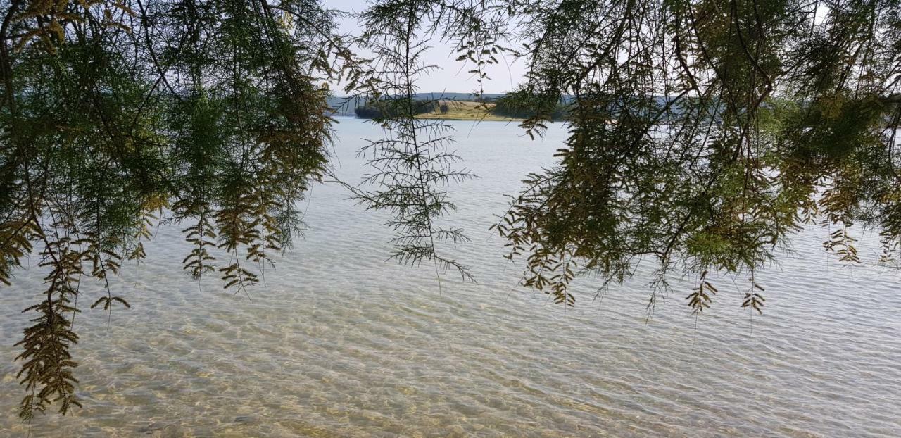 Villa Flaveico Pašman Esterno foto